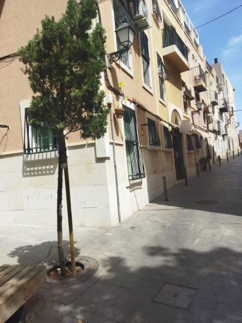 La Casita Del Marques Alicante Exterior foto